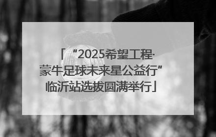 “2025希望工程·蒙牛足球未来星公益行”临沂站选拔圆满举行