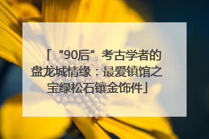 “90后”考古学者的盘龙城情缘：最爱镇馆之宝绿松石镶金饰件