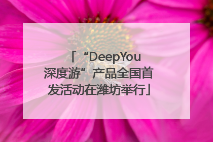 “DeepYou深度游”产品全国首发活动在潍坊举行