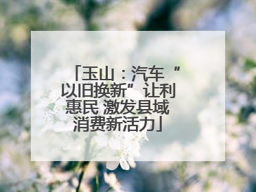 玉山：汽车“以旧换新”让利惠民 激发县域消费新活力