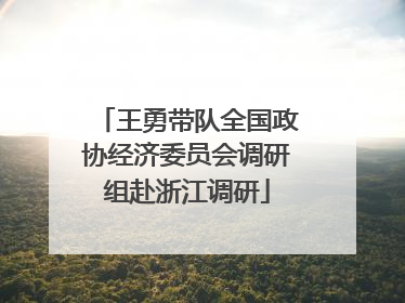 王勇带队全国政协经济委员会调研组赴浙江调研