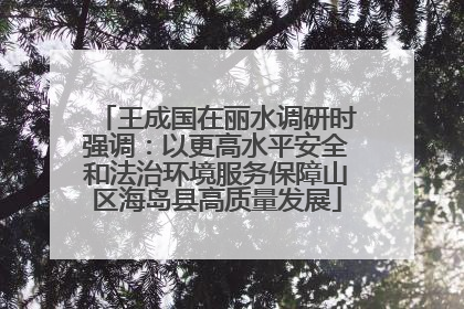王成国在丽水调研时强调：以更高水平安全和法治环境服务保障山区海岛县高质量发展