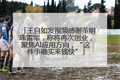 王自如发视频感谢董明珠雷军，称将再次创业，聚焦AI应用方向，“这件事确实来钱快”