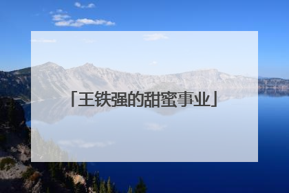 王铁强的甜蜜事业