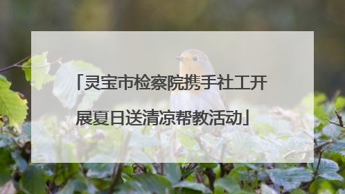 灵宝市检察院携手社工开展夏日送清凉帮教活动
