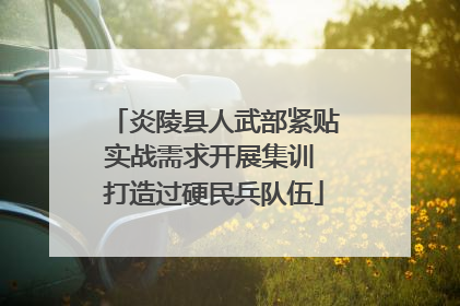 炎陵县人武部紧贴实战需求开展集训 打造过硬民兵队伍