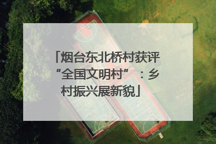 烟台东北桥村获评“全国文明村”：乡村振兴展新貌