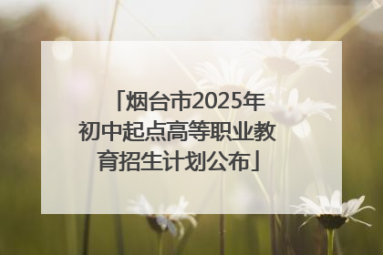 烟台市2025年初中起点高等职业教育招生计划公布