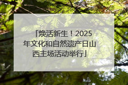 焕活新生！2025年文化和自然遗产日山西主场活动举行