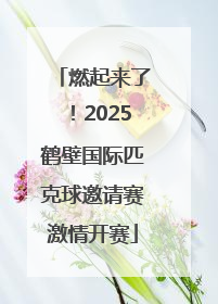 燃起来了！2025鹤壁国际匹克球邀请赛激情开赛