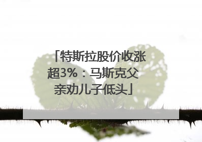 特斯拉股价收涨超3%：马斯克父亲劝儿子低头