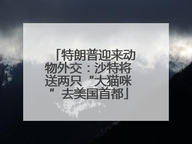 特朗普迎来动物外交：沙特将送两只“大猫咪”去美国首都