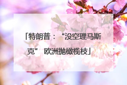特朗普：“没空理马斯克” 欧洲抛橄榄枝