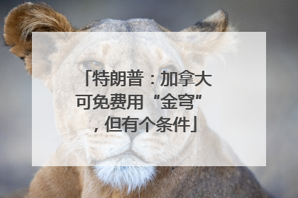 特朗普：加拿大可免费用“金穹”，但有个条件