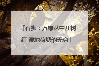 石狮：万绿丛中几树红 湿地荷塘韵无穷