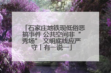 石家庄地铁现低俗恶搞事件 公共空间非“秀场” 文明底线应严守丨有一说一