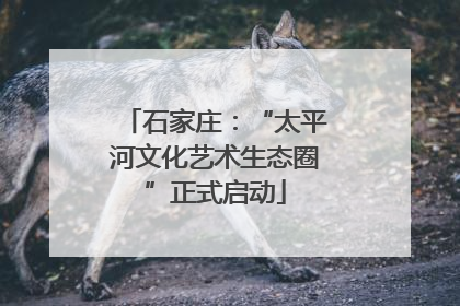 石家庄：“太平河文化艺术生态圈”正式启动
