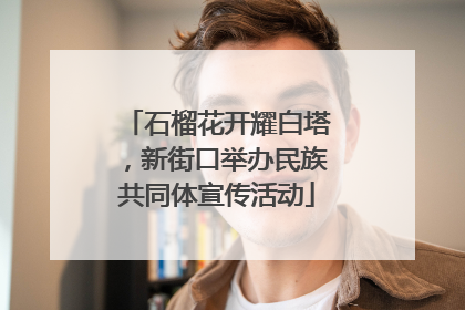 石榴花开耀白塔，新街口举办民族共同体宣传活动