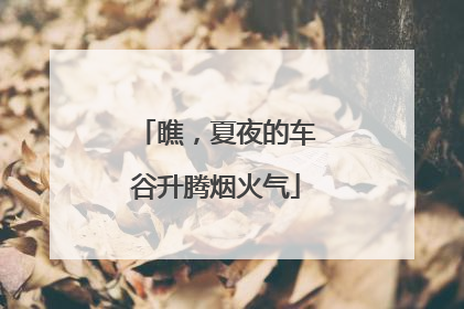 瞧，夏夜的车谷升腾烟火气