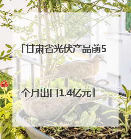 甘肃省光伏产品前5个月出口1.4亿元