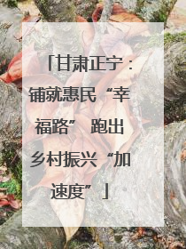 甘肃正宁：铺就惠民“幸福路” 跑出乡村振兴“加速度”