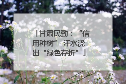 甘肃民勤：“信用种树” 汗水浇出“绿色存折”