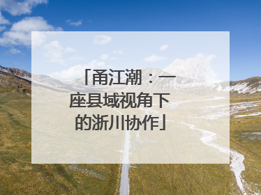 甬江潮：一座县域视角下的浙川协作