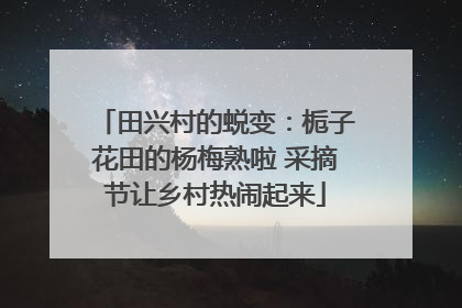 田兴村的蜕变：栀子花田的杨梅熟啦 采摘节让乡村热闹起来