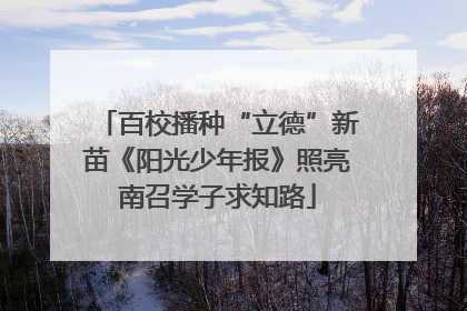 百校播种“立德”新苗《阳光少年报》照亮南召学子求知路