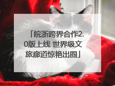 皖浙跨界合作2.0版上线 世界级文旅廊道惊艳出圈