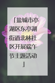 盐城市亭湖区东亭湖街道北林社区开展端午节主题活动