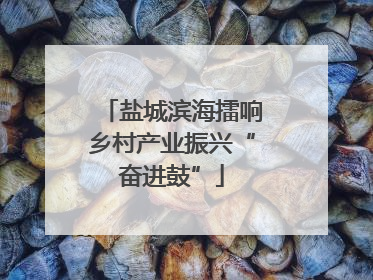 盐城滨海擂响乡村产业振兴“奋进鼓”