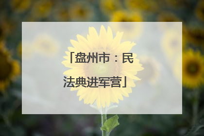 盘州市：民法典进军营