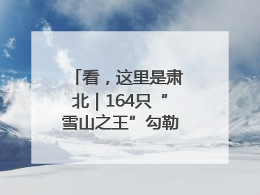 看，这里是肃北｜164只“雪山之王”勾勒生态新图景