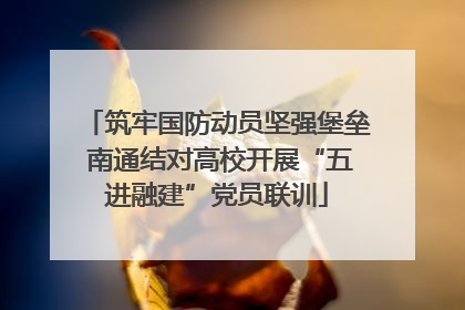 筑牢国防动员坚强堡垒 南通结对高校开展“五进融建”党员联训
