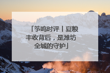 筝鸣时评丨夏粮丰收背后，是潍坊全城的守护