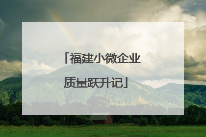 福建小微企业质量跃升记