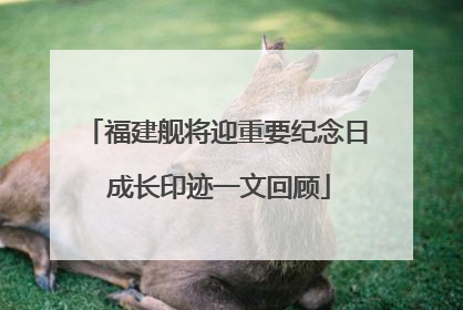福建舰将迎重要纪念日 成长印迹一文回顾