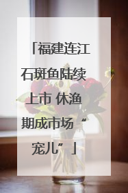 福建连江石斑鱼陆续上市 休渔期成市场“宠儿”
