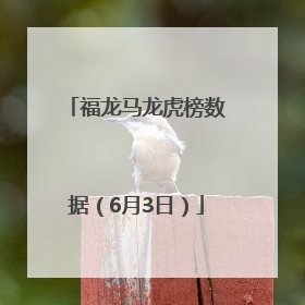 福龙马龙虎榜数据（6月3日）
