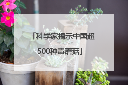 科学家揭示中国超500种毒蘑菇