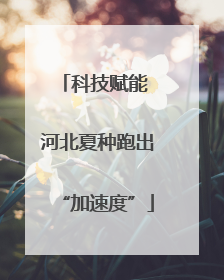 科技赋能 河北夏种跑出“加速度”