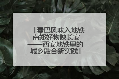 秦巴风味入地铁 南郑好物映长安——西安地铁里的城乡融合新实践