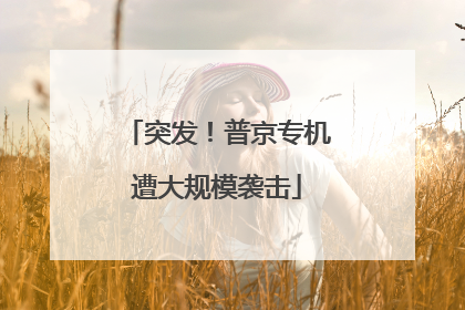 突发！普京专机遭大规模袭击