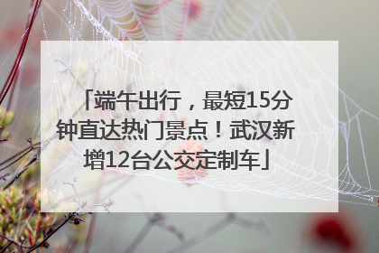 端午出行，最短15分钟直达热门景点！武汉新增12台公交定制车