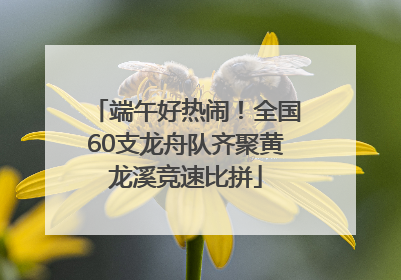 端午好热闹！全国60支龙舟队齐聚黄龙溪竞速比拼