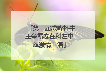第二届成峰杯牛王争霸赛在科左中旗激情上演