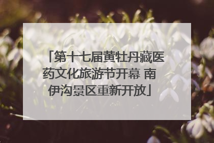 第十七届黄牡丹藏医药文化旅游节开幕 南伊沟景区重新开放