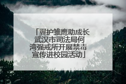 翼护雏鹰助成长 武汉市司法局何湾强戒所开展禁毒宣传进校园活动