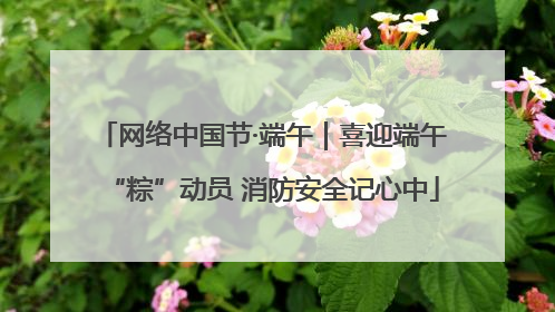 网络中国节·端午｜喜迎端午“粽”动员 消防安全记心中